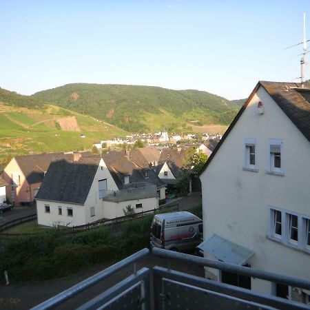 Ferienwohnung Bernkastel-Kues - Alte Rebschule Exteriér fotografie
