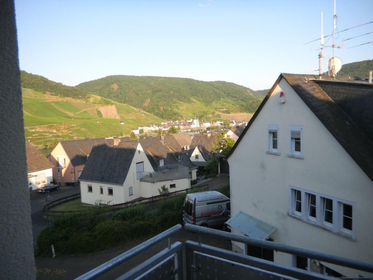 Ferienwohnung Bernkastel-Kues - Alte Rebschule Exteriér fotografie